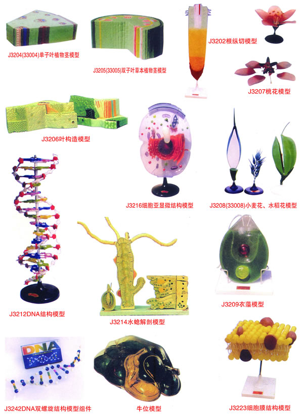 生物教学仪器