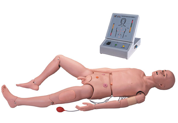 LG/3000型 高级成人护理及CPR模型人